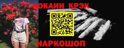дмт Кингисепп
