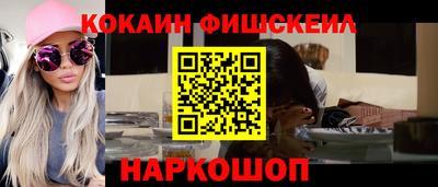 дмт Кингисепп