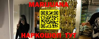 дмт Кингисепп