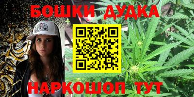 дмт Кингисепп