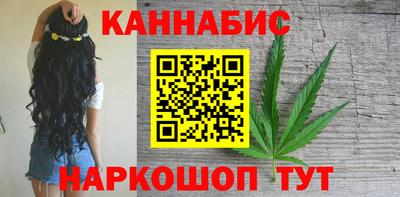 дмт Кингисепп