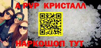 дмт Кингисепп
