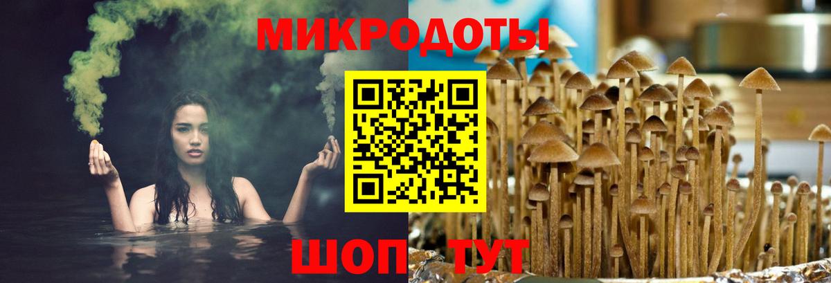 Псилоцибиновые грибы прущие грибы  Вход с VPN  Якутск 